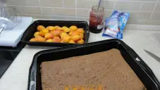 Řezy s meruňkami