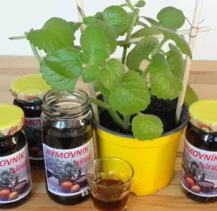 Sirup z rýmovníku