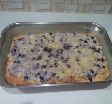 Fotka uživatele PetraK k receptu Borůvkový koláč s tvarohem