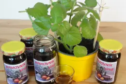 Sirup z rýmovníku